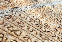 Protecting the glorious history of Sinhala and Sinhalese