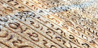 Protecting the glorious history of Sinhala and Sinhalese