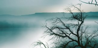 The killing times: the massacres of Aboriginal people Australia must confront