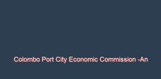 Colombo Port City Economic Commission -An authority without any real authority  By Basil Fernando