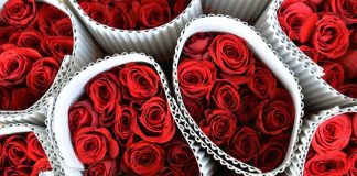 Roses dominate in Sri Lanka’s picked up valentine sales