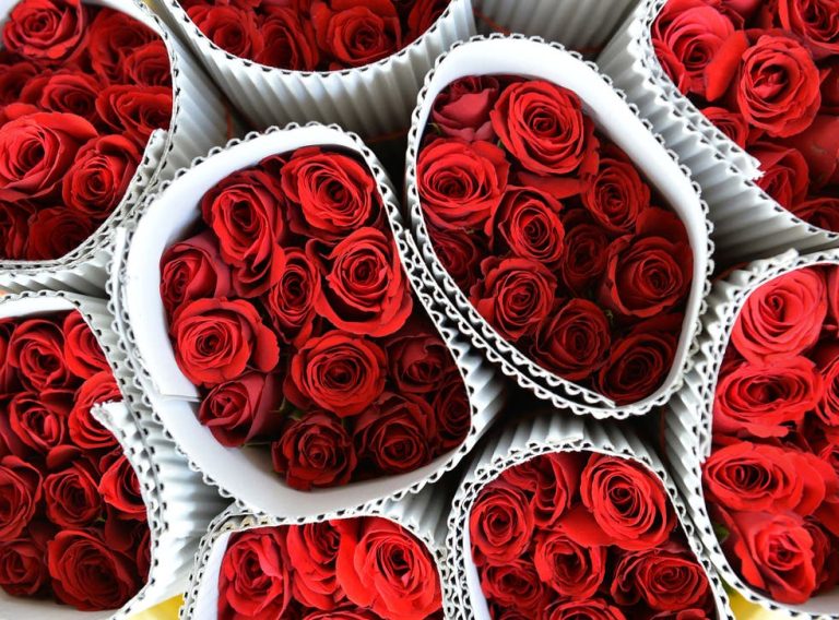 Roses dominate in Sri Lanka’s picked up valentine sales