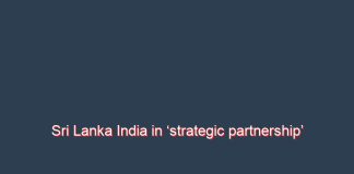 Sri Lanka India in ‘strategic partnership’ says FM amid emergency financing