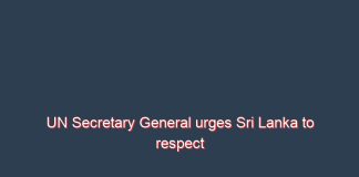 UN Secretary General urges Sri Lanka to respect democracy, constitution