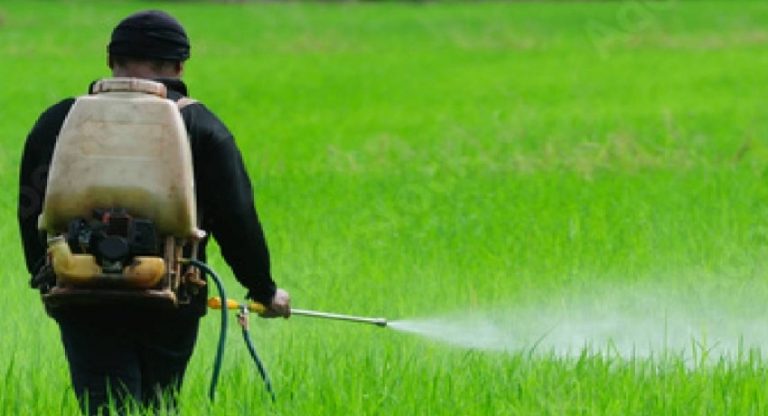 Fertilizer Crisis led to Tea Industry fall
