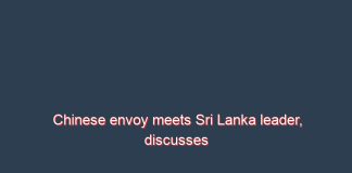 Chinese envoy meets Sri Lanka leader, discusses Belt and Road projects