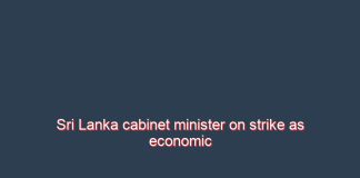 Sri Lanka cabinet minister on strike as economic crisis sparks ruling coalition squabble