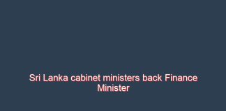 Sri Lanka cabinet ministers back Finance Minister to seek IMF support