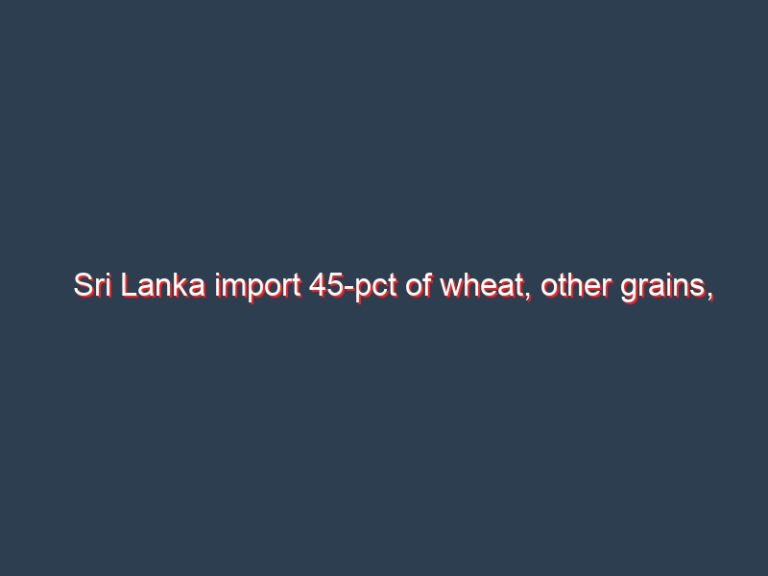 Sri Lanka import 45-pct of wheat, other grains, sunflower oil from Russia, Ukraine: IPS