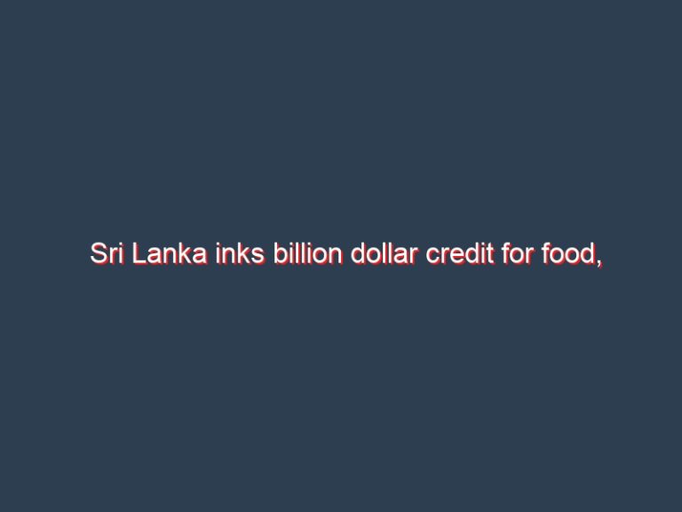 Sri Lanka inks billion dollar credit for food, meds, from State Bank of India