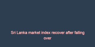 Sri Lanka market index recover after falling over 6-pct