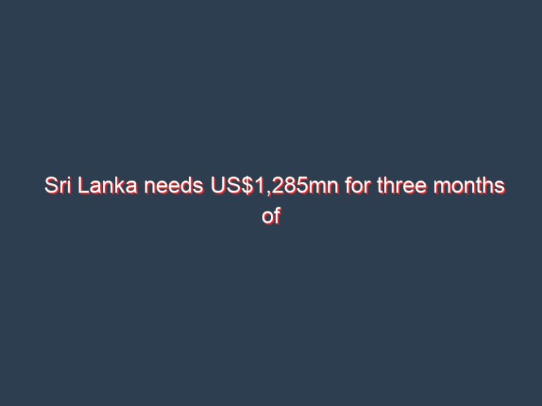 Sri Lanka needs US$1,285mn for three months of oil, US$500mn from India: Minister