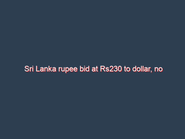 Sri Lanka rupee bid at Rs230 to dollar, no two-way quotes for float yet