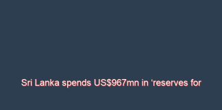 Sri Lanka spends US$967mn in ‘reserves for imports’