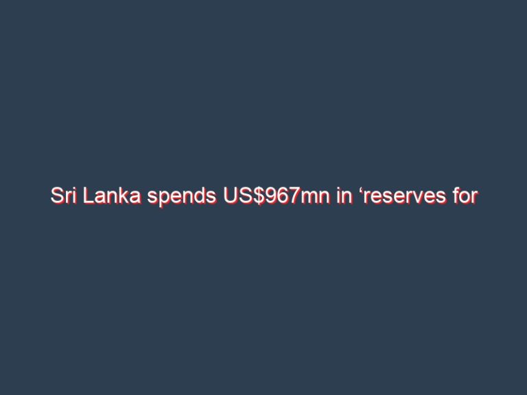Sri Lanka spends US$967mn in ‘reserves for imports’