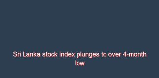Sri Lanka stock index plunges to over 4-month low after rupee devaluation