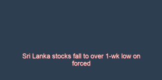 Sri Lanka stocks fall to over 1-wk low on forced sales; LOFC boosts turnover
