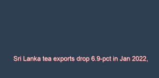 Sri Lanka tea exports drop 6.9-pct in Jan 2022, Iraq, Russia leads
