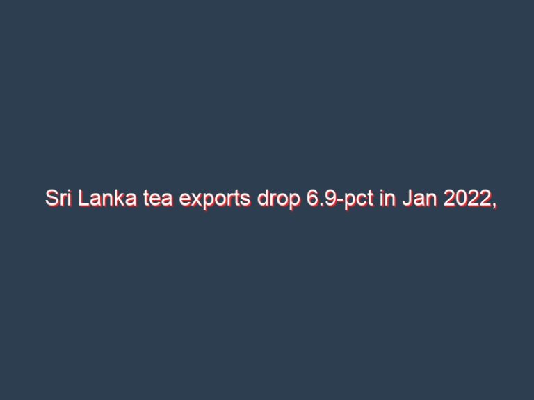 Sri Lanka tea exports drop 6.9-pct in Jan 2022, Iraq, Russia leads