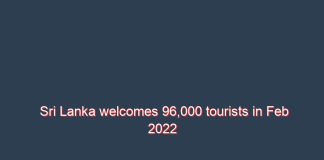 Sri Lanka welcomes 96,000 tourists in Feb 2022 led by Russia