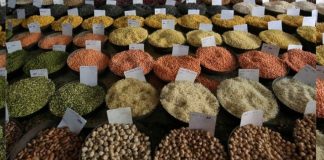 Can India feed the world during the Ukraine war?