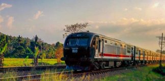 Railway services to return to normalcy after Thursday’s (28) nation wide protest campaign