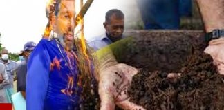 How a fertilizer ban became a part of Sri Lanka’s Crisis