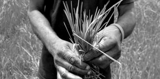 A Food Crisis? The Facts