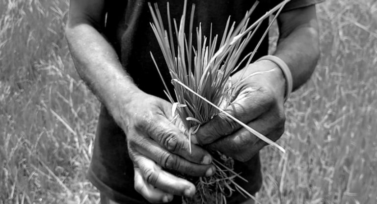 A Food Crisis? The Facts