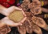Sri Lanka will experience further deterioration of food security – UN FAO Report