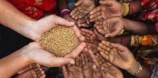 Sri Lanka will experience further deterioration of food security – UN FAO Report