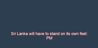 Sri Lanka will have to stand on its own feet: PM