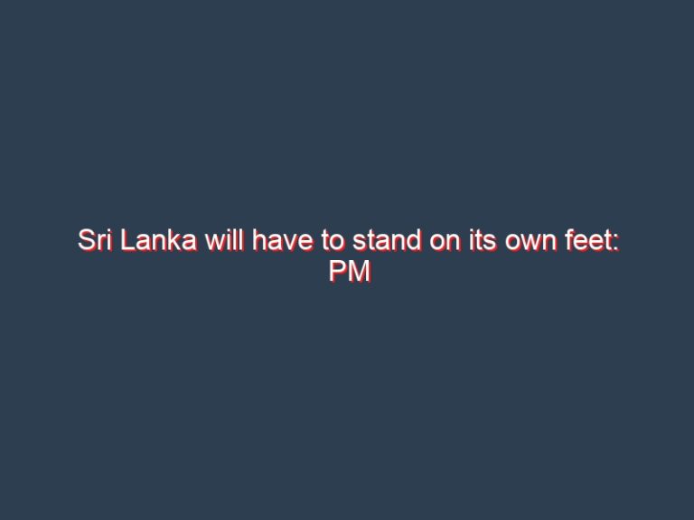 Sri Lanka will have to stand on its own feet: PM