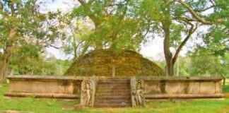 Heritage: Ambassadors of peace (Part V)