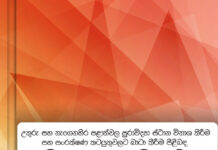 උතුරු සහ නැගෙනහිර පළාත්වල පුරාවිද්යා ස්ථාන විනාශ කිරීම සහ සංරක්ෂණ කටයුතුවලට බාධා කිරීම පිළිබඳ විමර්ශන කොමිසමේ වාර්තාව – 2023
