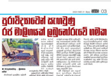 පුරාවිද්යාවෙන් සැඟවුණු රජ මාලිගයක් ලබුනොරුවේ ගමක