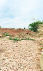 මාවාඩිවෙම්බු පුරාණ දාගැබ විනාශයි!