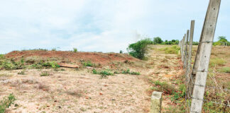 මාවාඩිවෙම්බු පුරාණ දාගැබ විනාශයි!