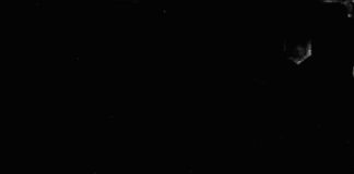 The girl who was reborn