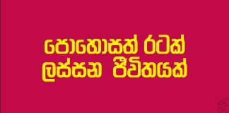 Presidential Election Policies – NPP Manifesto 2024 | පොහොසත් රටක් ලස්සන ජීවිතයක් – ජාතික ජන බලවේගය ප්රතිපත්ති ප්රකාශය